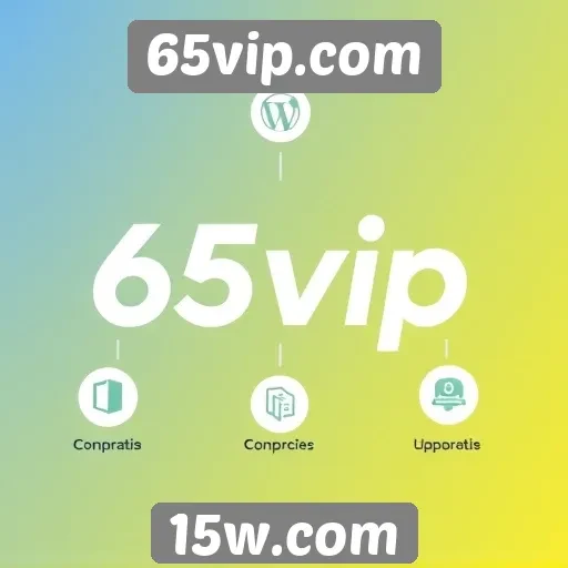 Análise das funcionalidades do site 65vip.com