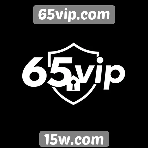 Segurança e privacidade dos usuários no 65vip.com